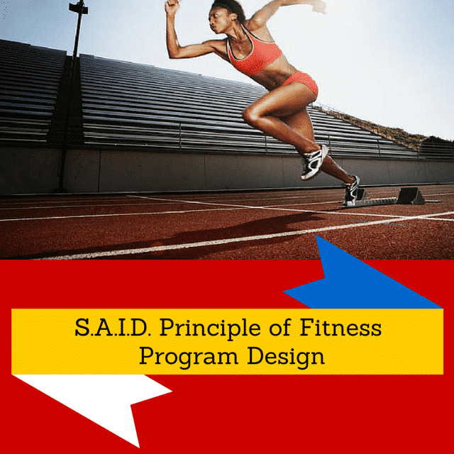 DISCOVER the SAID Principles of Exercise Program Design