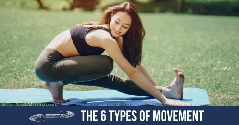 6 Types of Movement