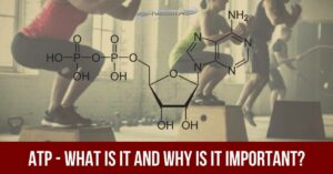 ATP - WHAT IS IT AND WHY IS IT IMPORTANT?