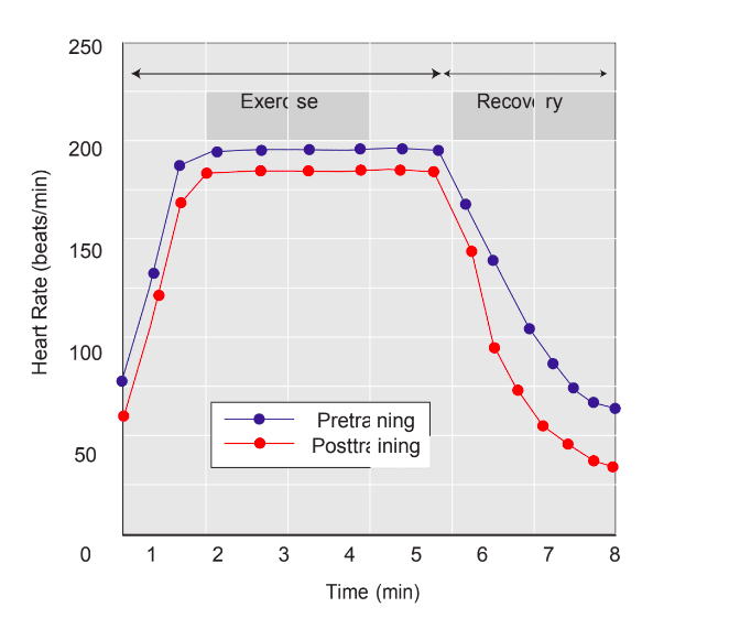 Decreased Exercise HR and HR Recovery
