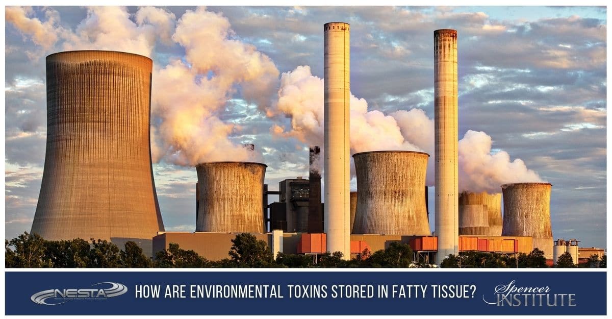 How are Environmental Pollutants and Other Toxins Stored in Fatty Tissue?