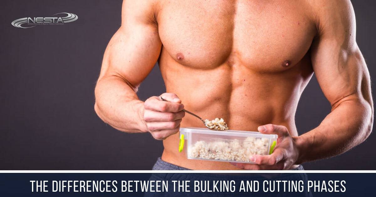 The Differences between the Bulking and Cutting Phases