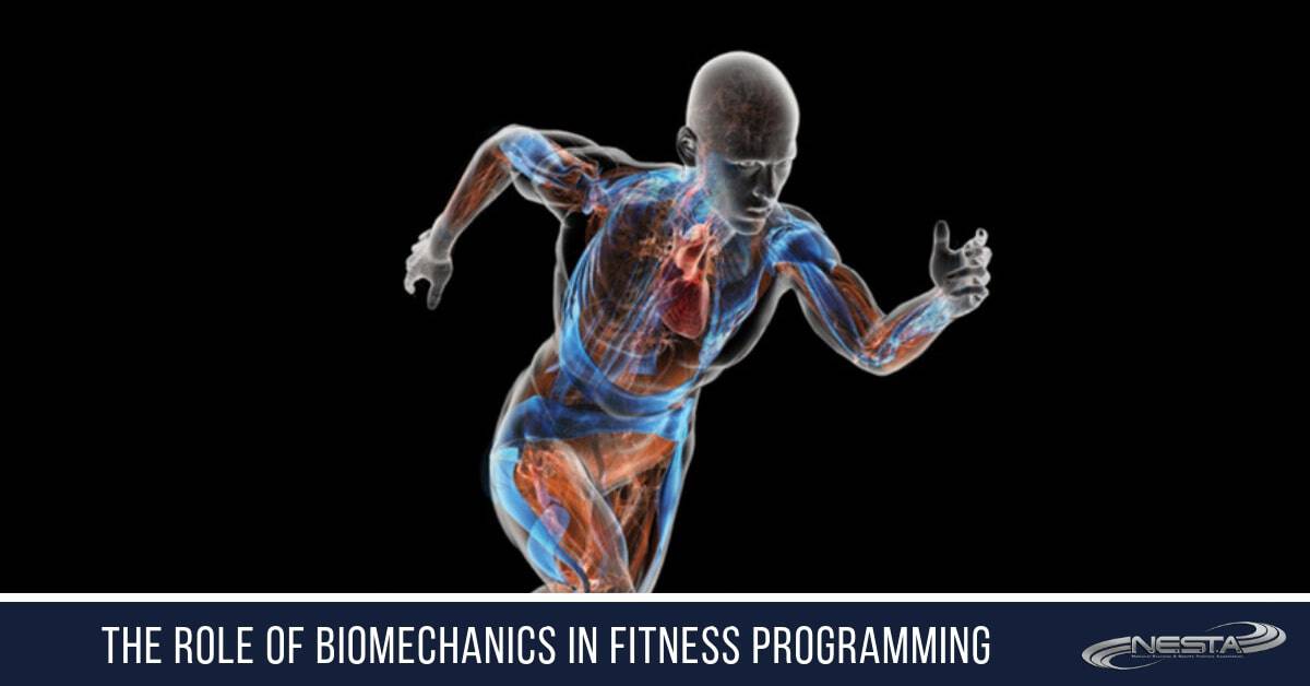 The Role of Biomechanics in Fitness Programming