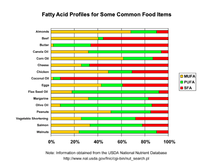 common-fatty-acids