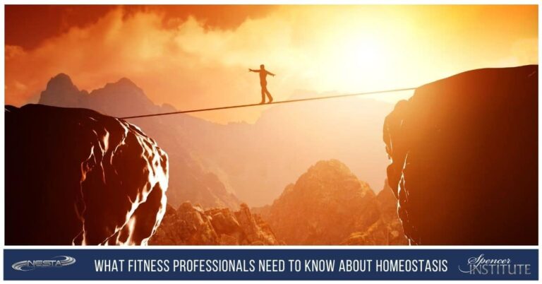 how-to-maintain-homestasis-in-the-human-body