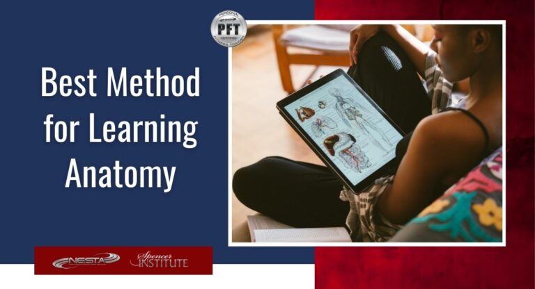 anatomy education for personal trainers