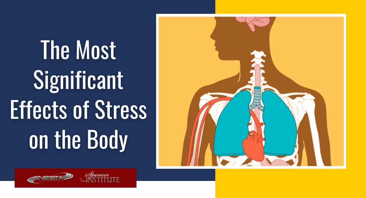 top ways stress hurts the human body