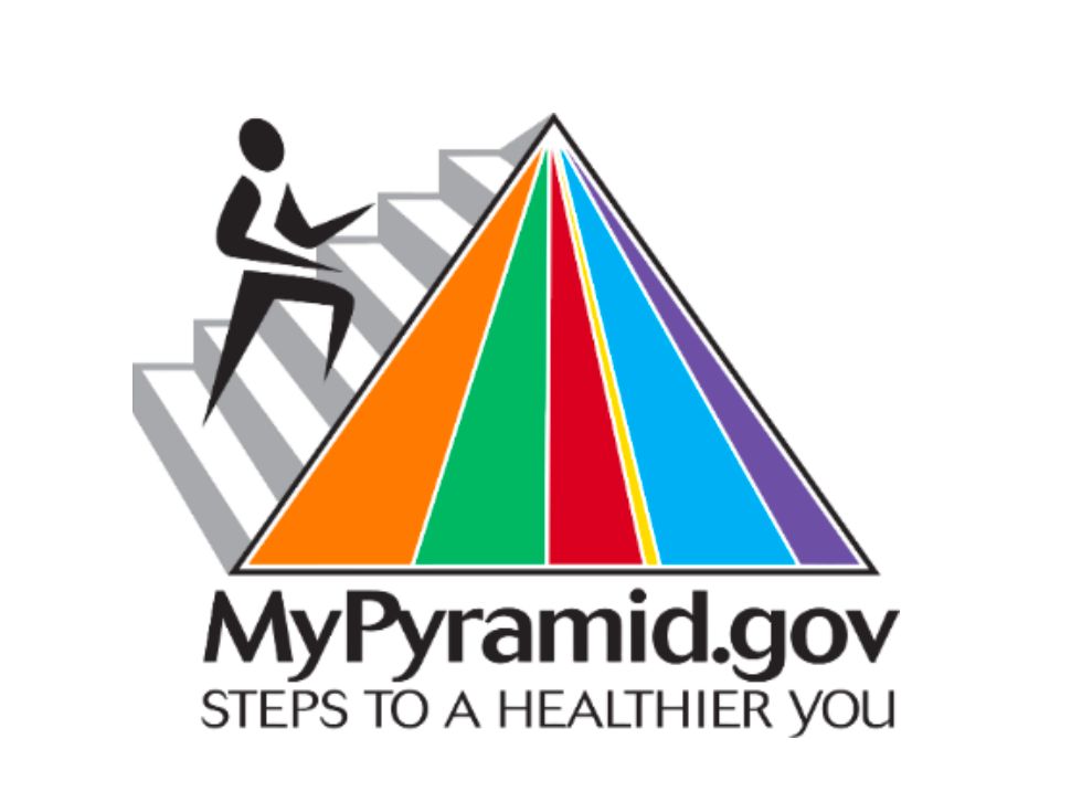 government bias in creating food guidelines