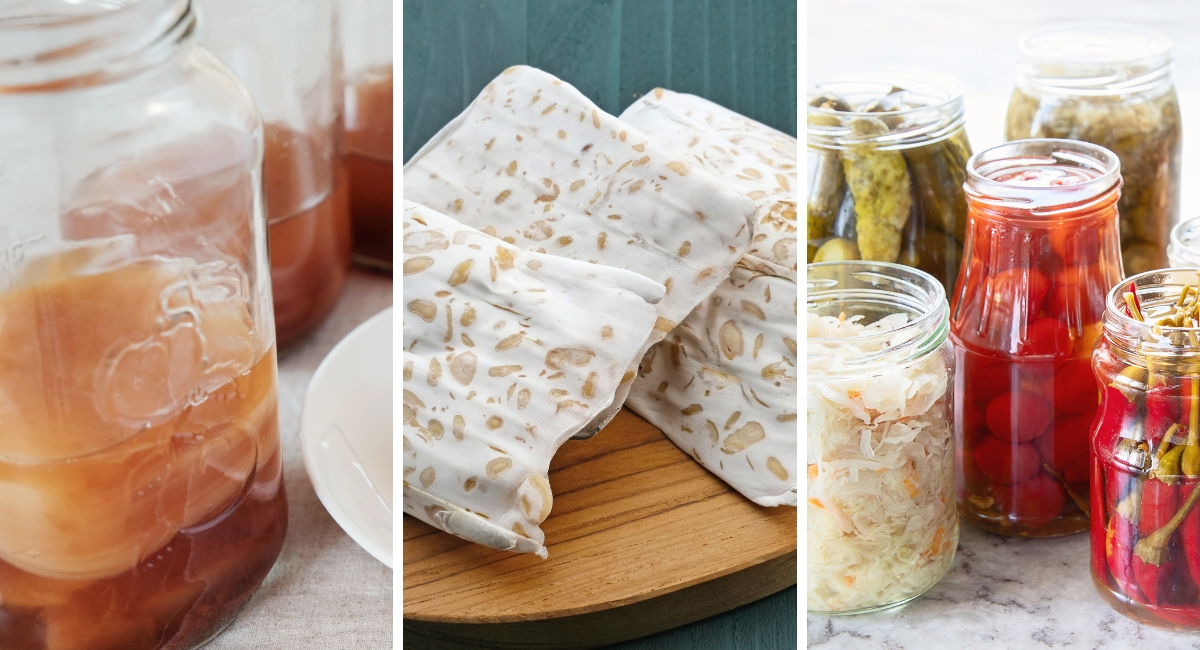 fermented food recipes for gut health