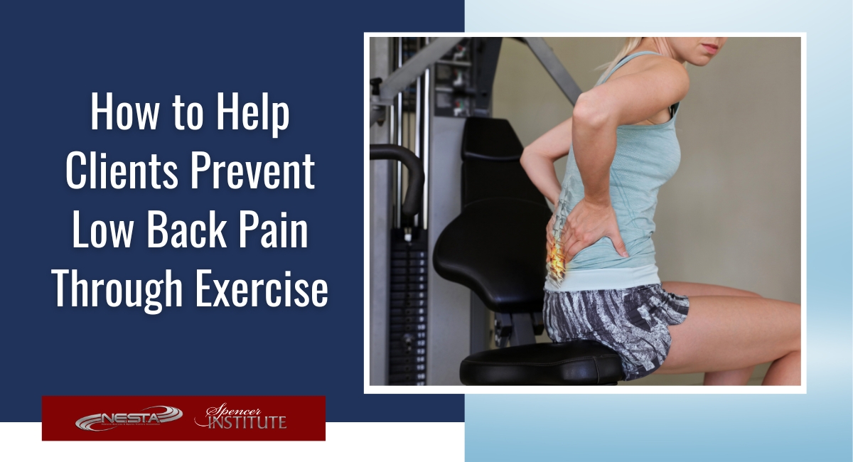 Low Back Pain Treatment Options, Anatomy, Causes and Exercise